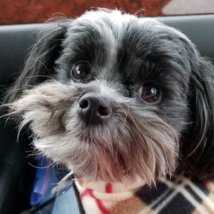 Meet your Posher, Marla